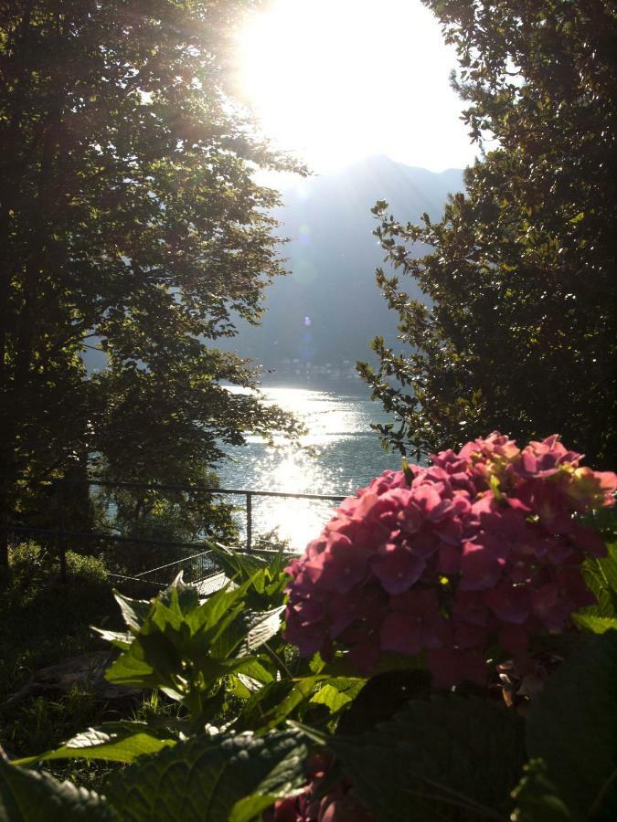 Casa Marina - Appartamento Nel Residence Di Nesso Eksteriør billede